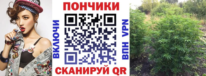 KRAKEN ONION  Луза  Конопля план 